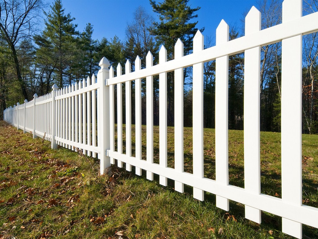 FENCE PAINTING
